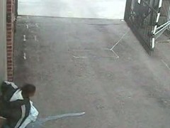 Security cam voyeured chubby amateur pissing in a difficulty yard